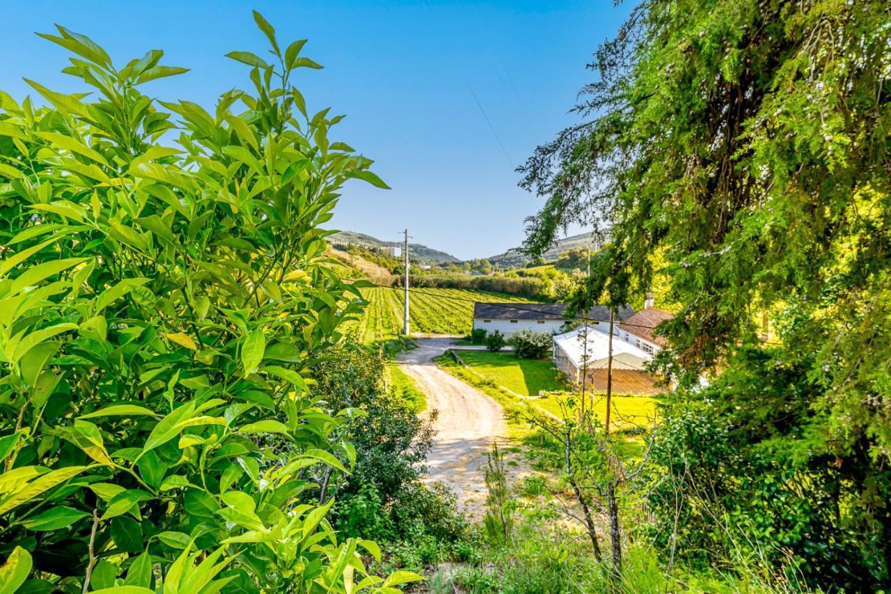 Вилла Quinta Do Boicao Лиссабон Экстерьер фото